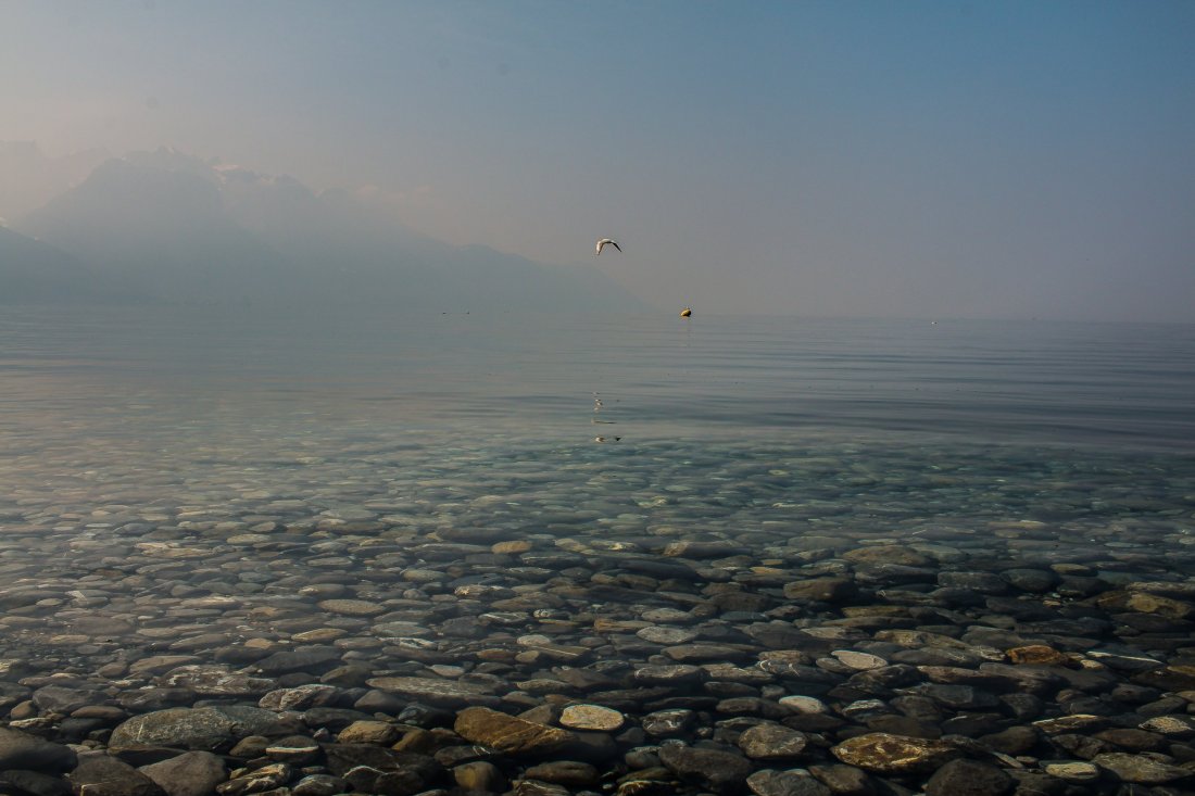 Zwitserland - meer van Genève