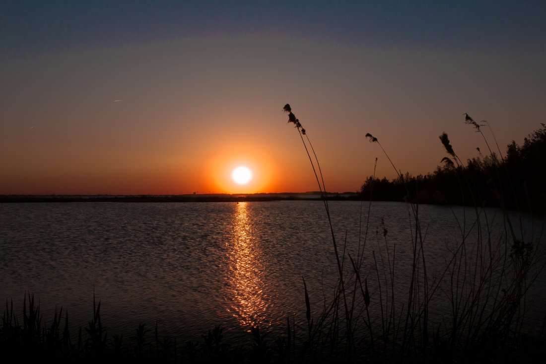 Sunset spring 2016